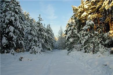 箭头公告称《绝地潜兵2》重要指令遭作弊者破坏